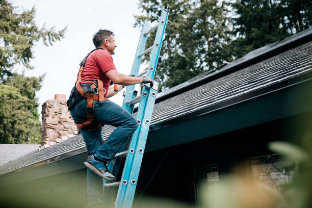 Best Roof Insulation Installation  in Purcellville, VA