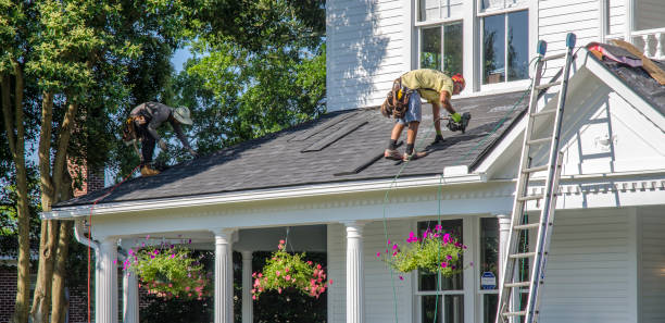 Best Roof Moss and Algae Removal  in Purcellville, VA
